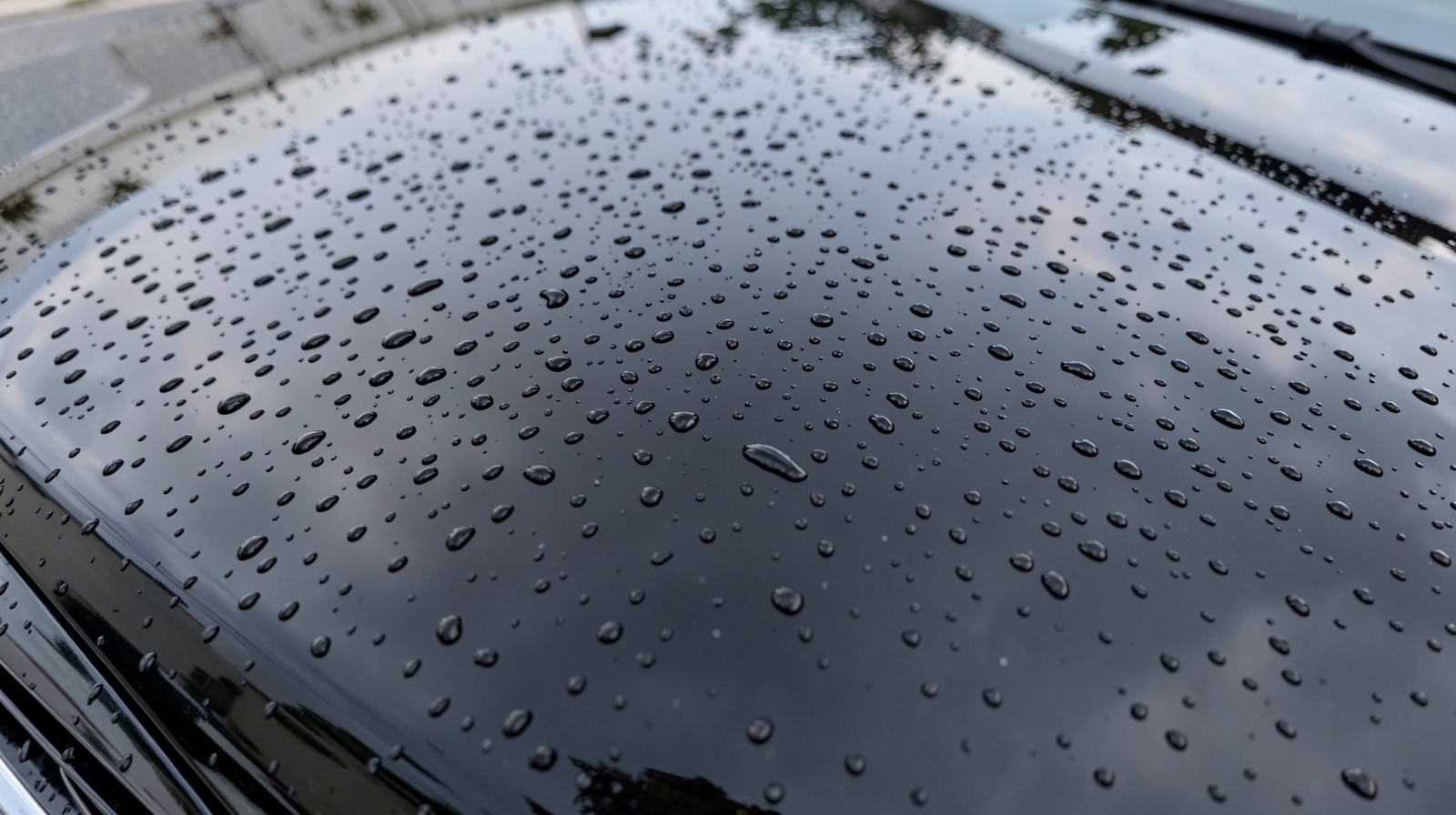Ceramic Coating finish on a vehicle in Apollo Beach