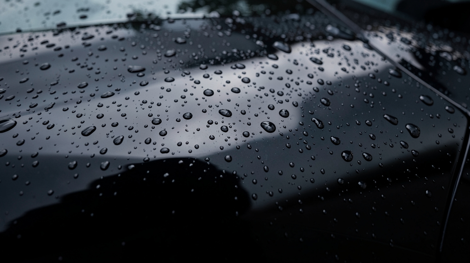 Full-Vehicle Ceramic Coating in Boca Raton, FL