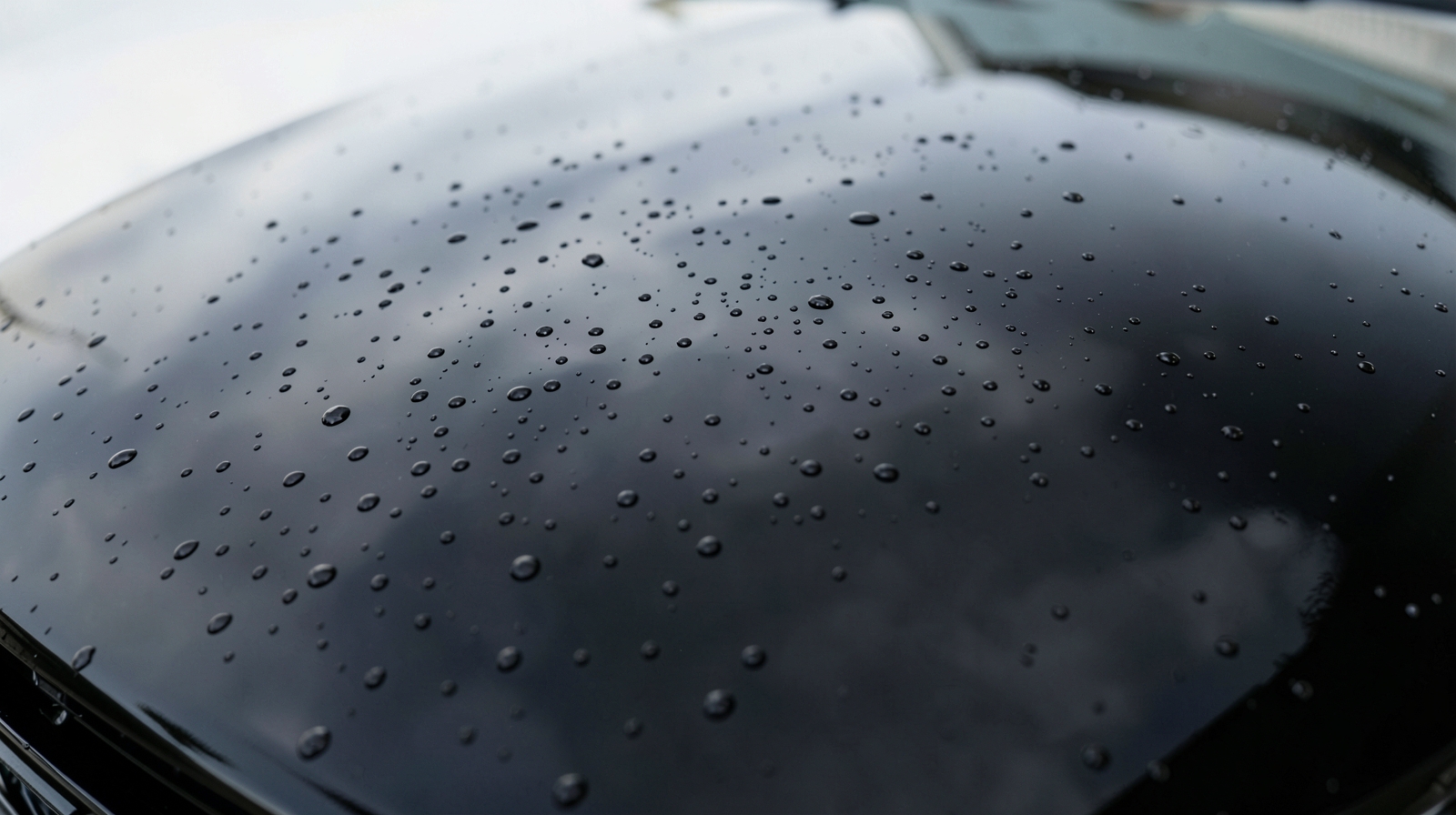 Ceramic Coating finish on a vehicle in Temple Terrace