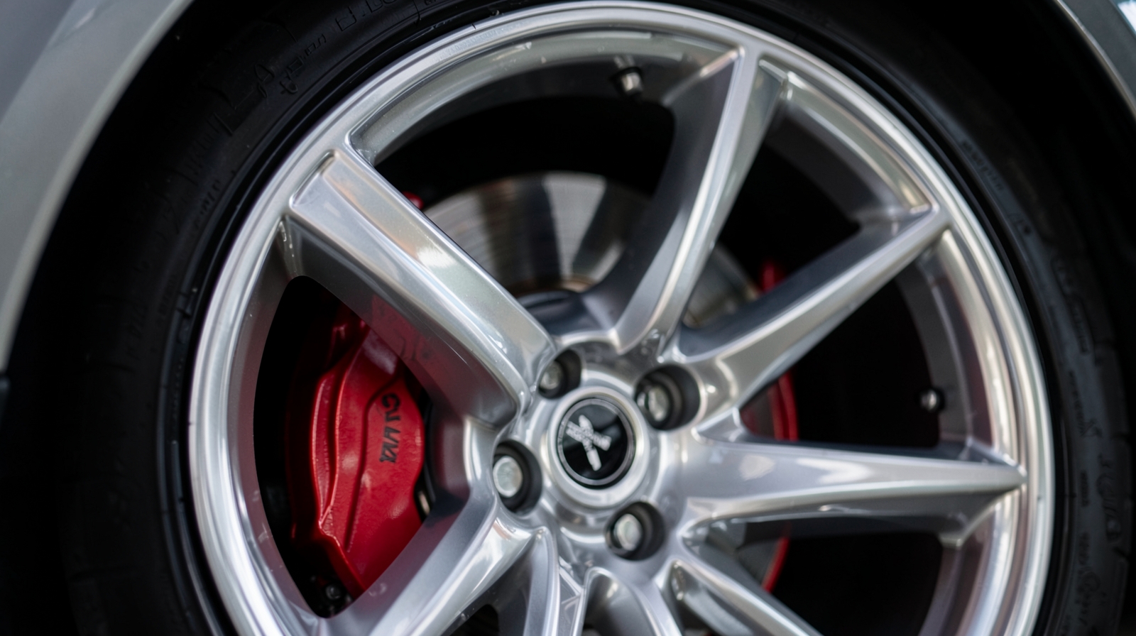 Wheel & Brake Caliper Ceramic Coating in Valrico, FL