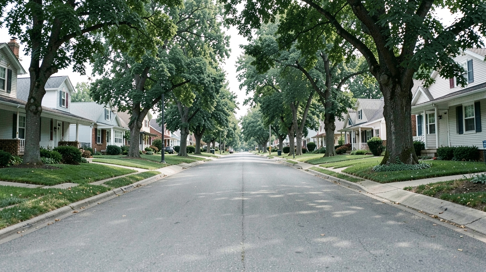 Gutter Cleaning in Brunswick Hills Township, OH