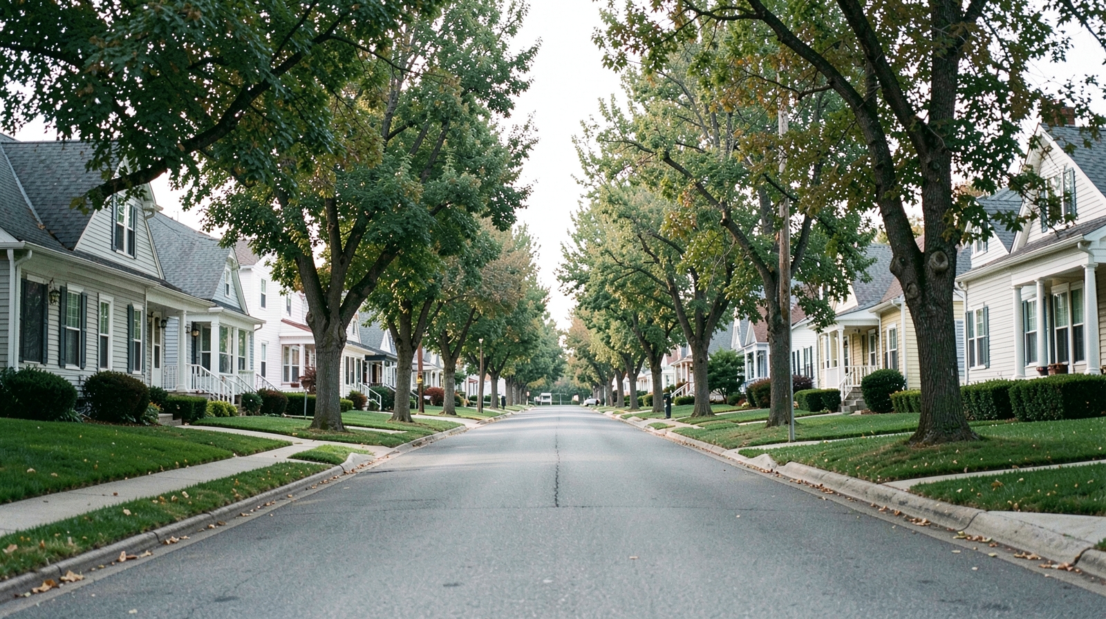 Gutter Cleaning in Medina, OH