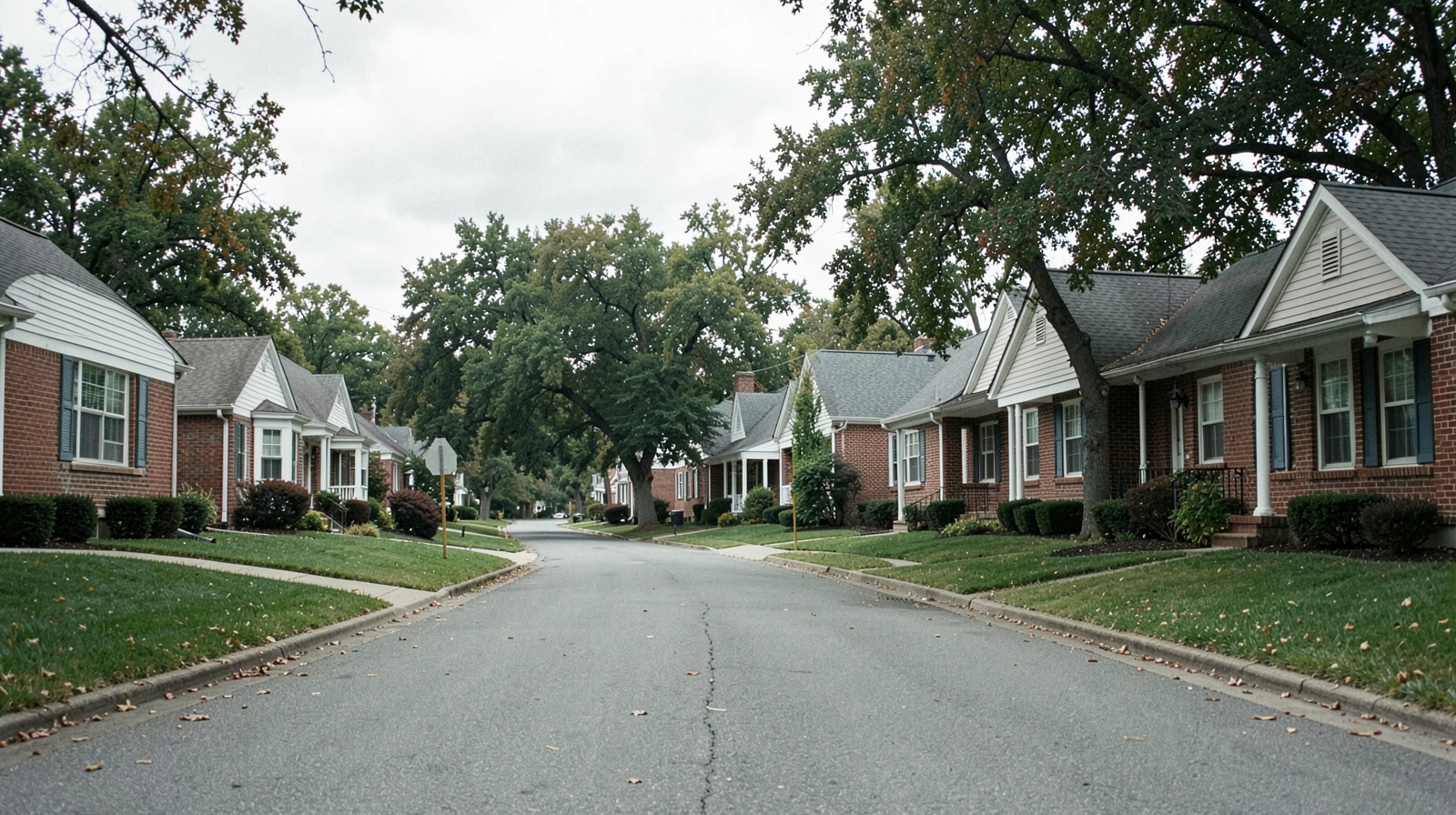 Gutter Cleaning in Selma, NC