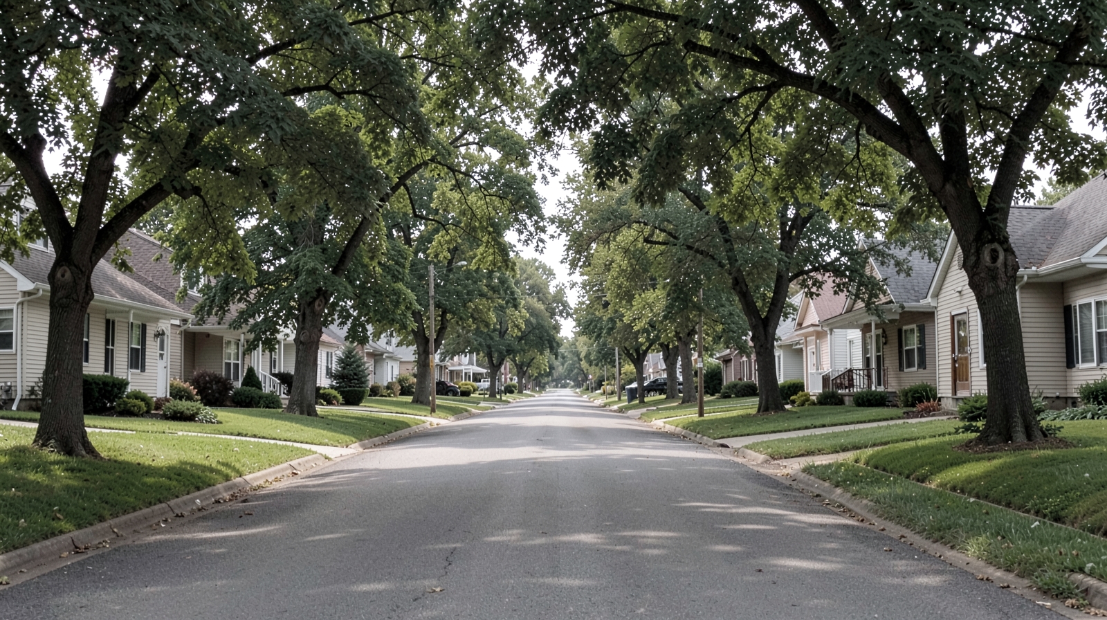 Gutter Cleaning in Cicero, IN