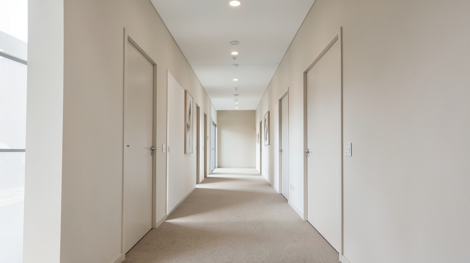 Commercial Mold Remediation in Agoura Hills, CA