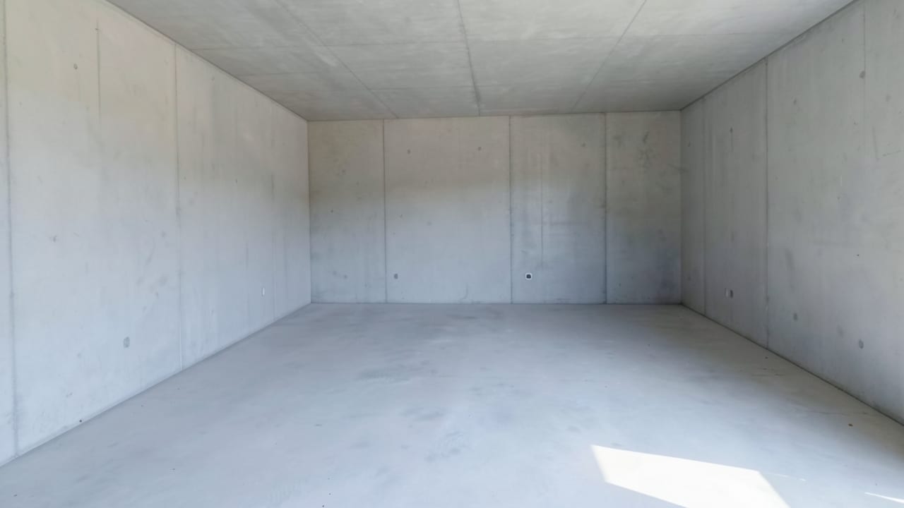 Garage Mold Removal in Belleair Bluffs, FL in Belleair Bluffs