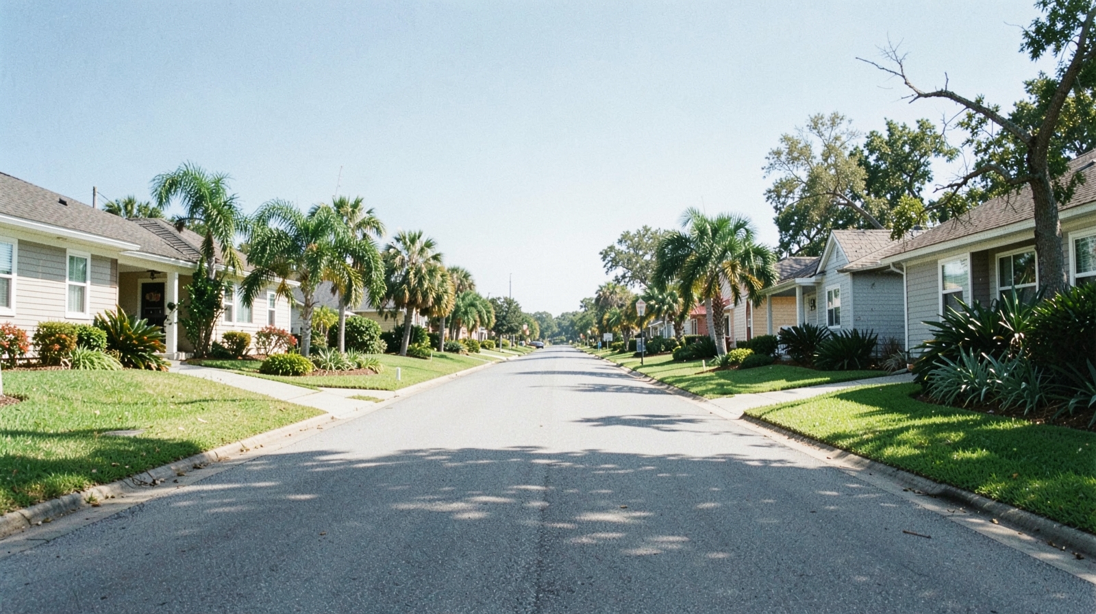 Mold Remediation in Clearwater, FL