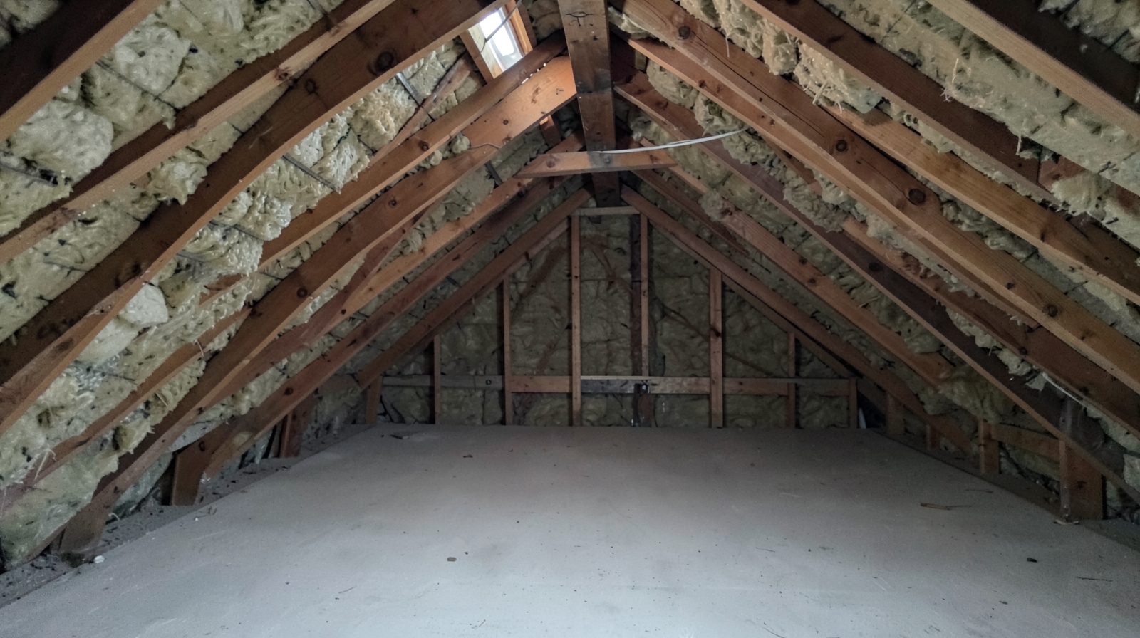 Attic Mold Remediation in Belleair Shores, FL