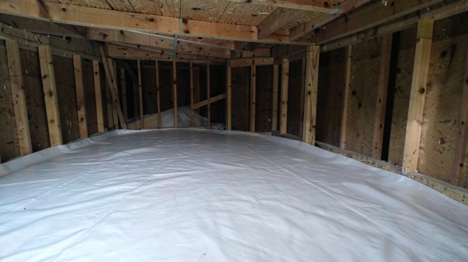 Crawl Space & Basement Mold Remediation in Belleair Shores, FL