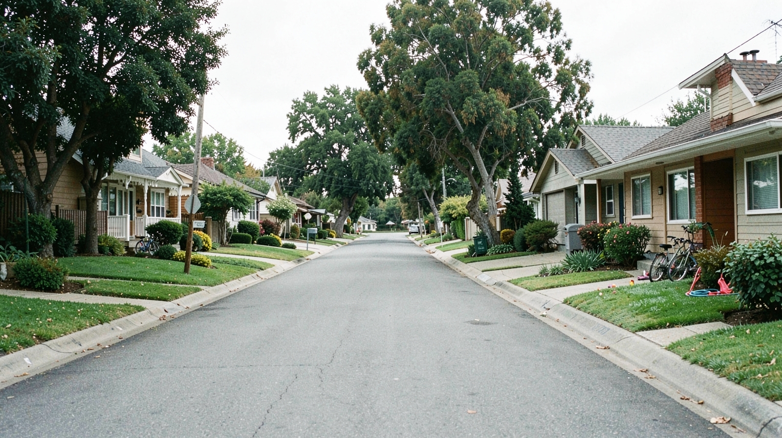 Mold Remediation in Redwood City, CA
