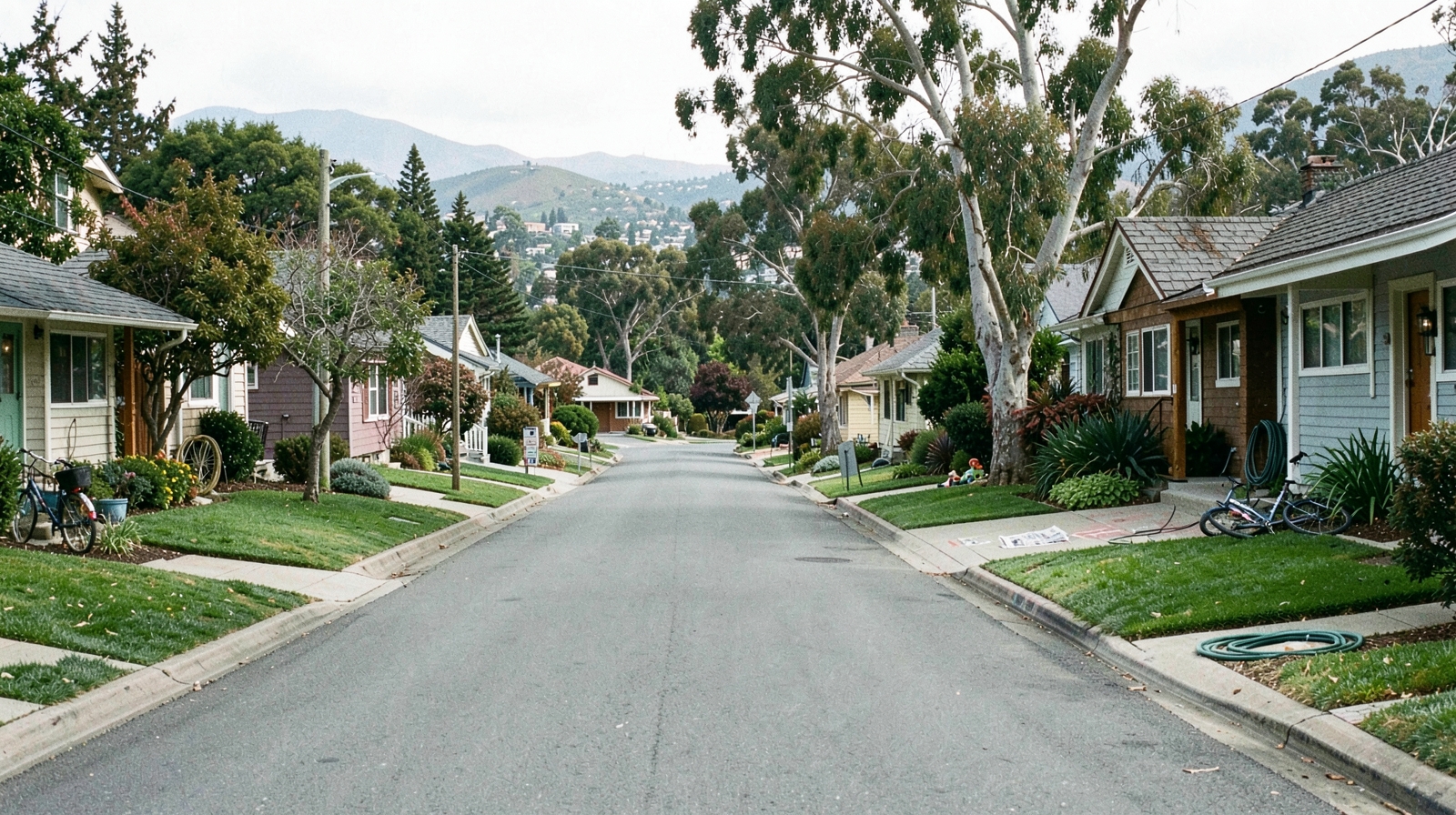 Mold Remediation in San Carlos, CA