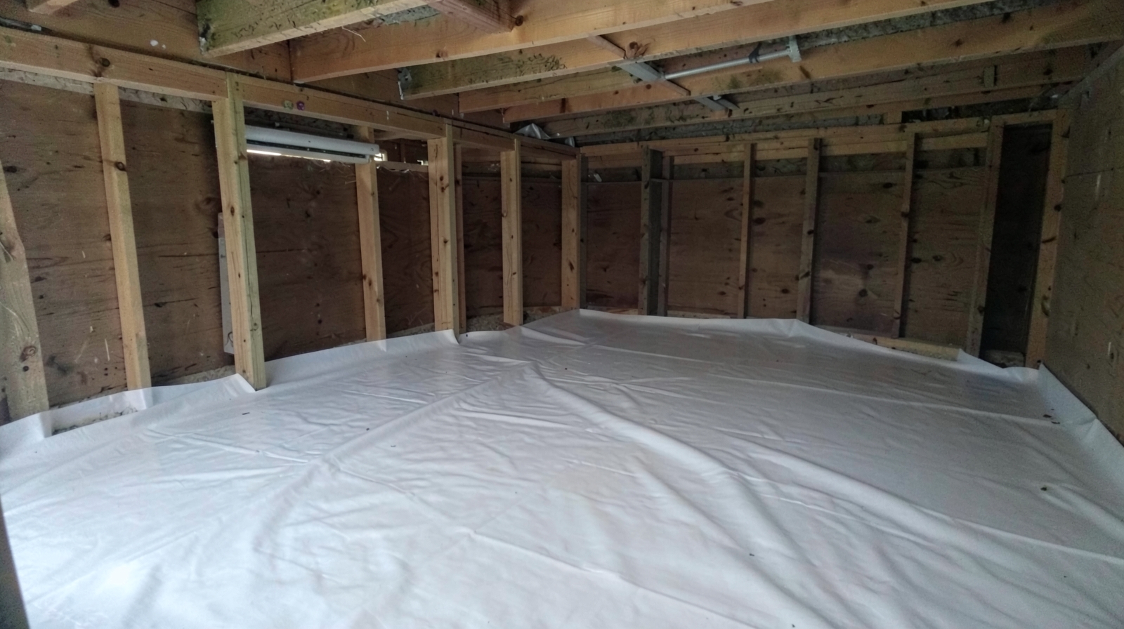 Crawl Space & Basement Mold Remediation in Belmont, CA