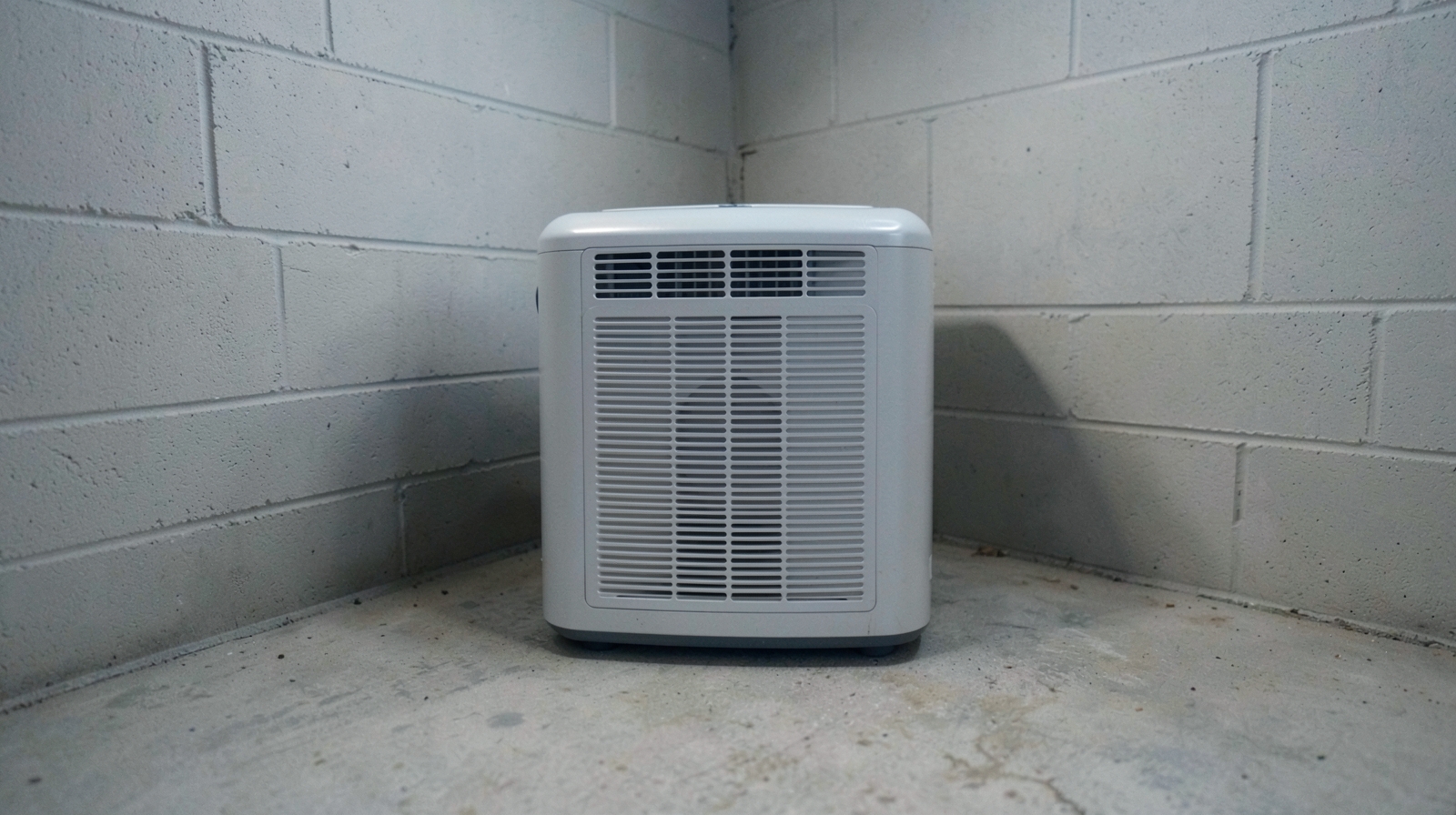 Mold Prevention & Moisture Control in Belmont, CA