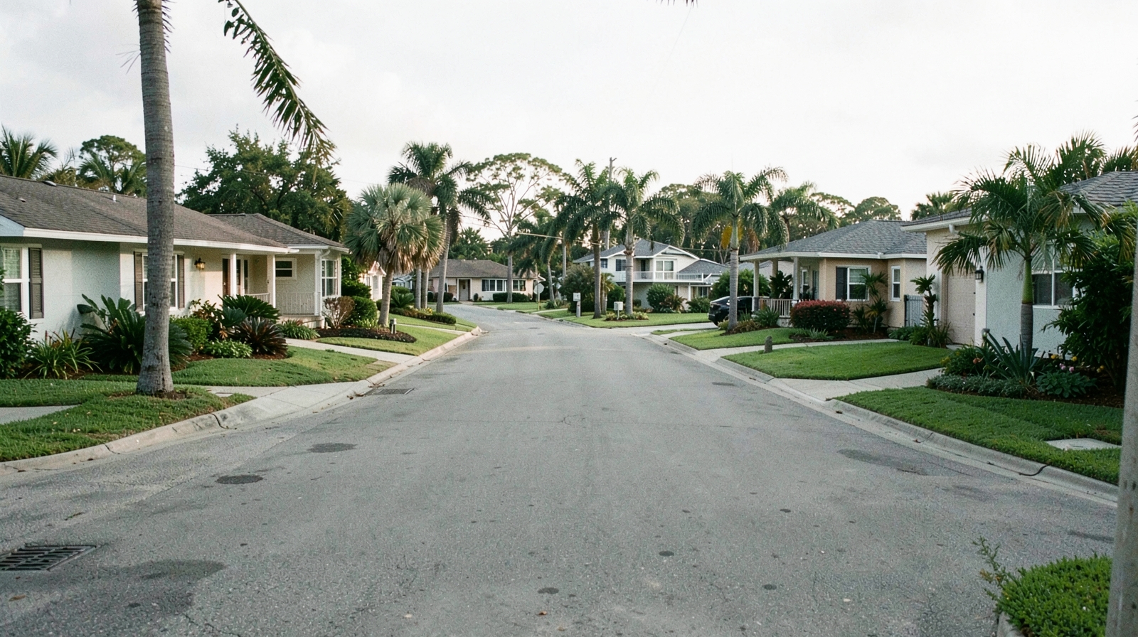 Mold Remediation in Mascotte, FL