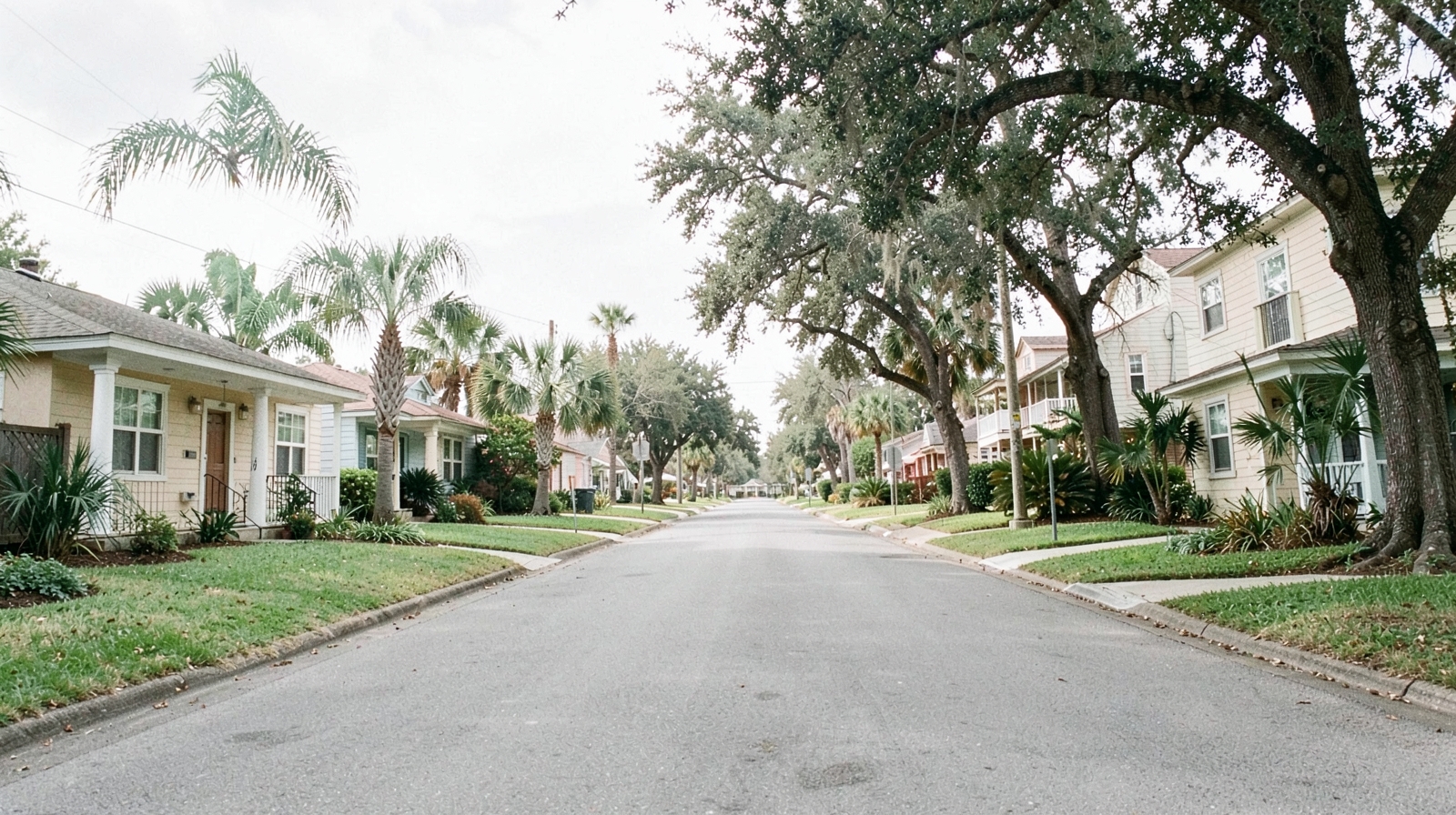 Mold Remediation in Winter Garden, FL