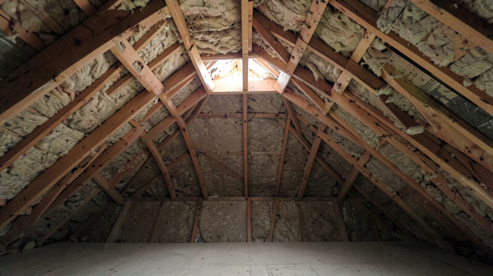 Attic Mold Remediation in Clermont, FL