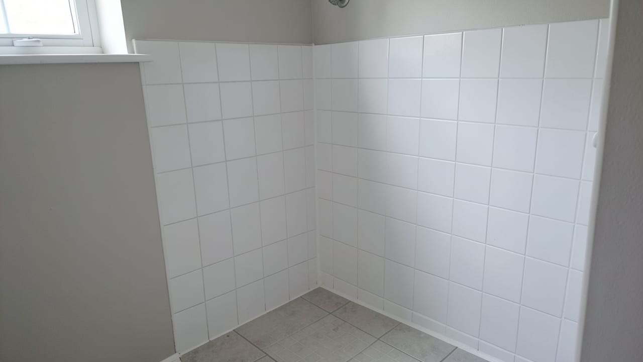 Bathroom Mold Removal in Clermont, FL in Clermont