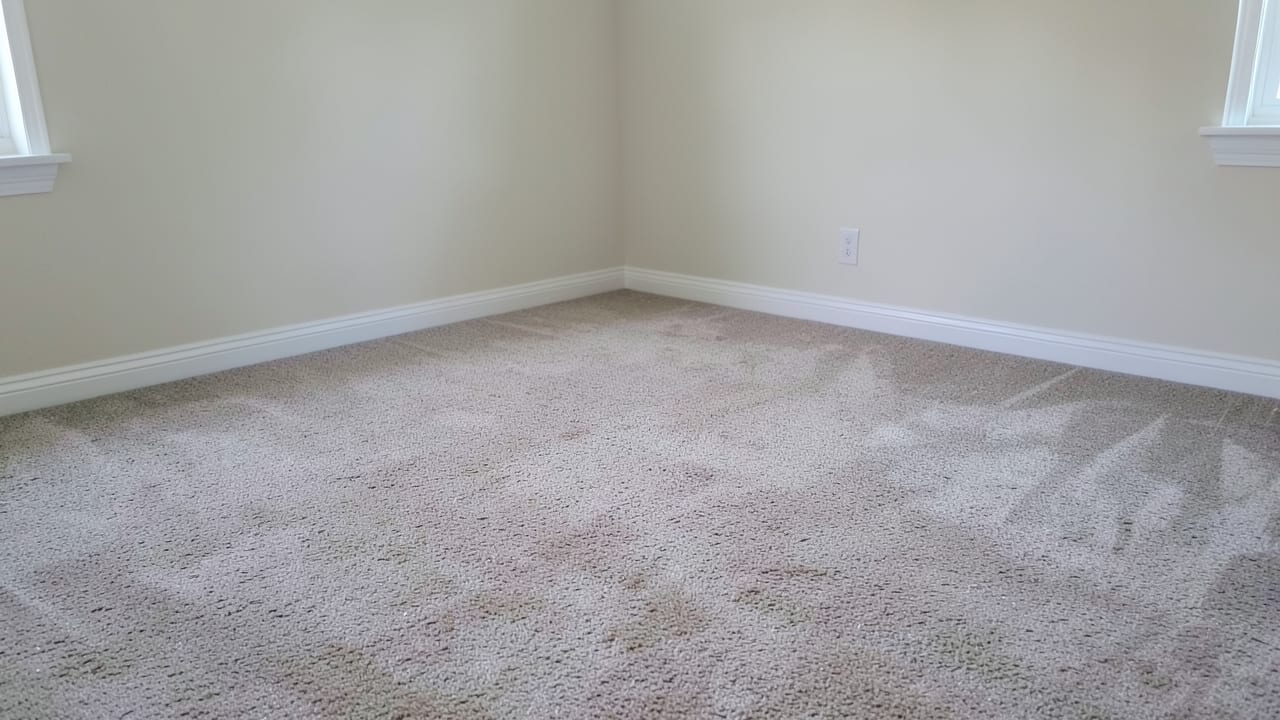 Carpet Mold Treatment in Clermont, FL in Clermont