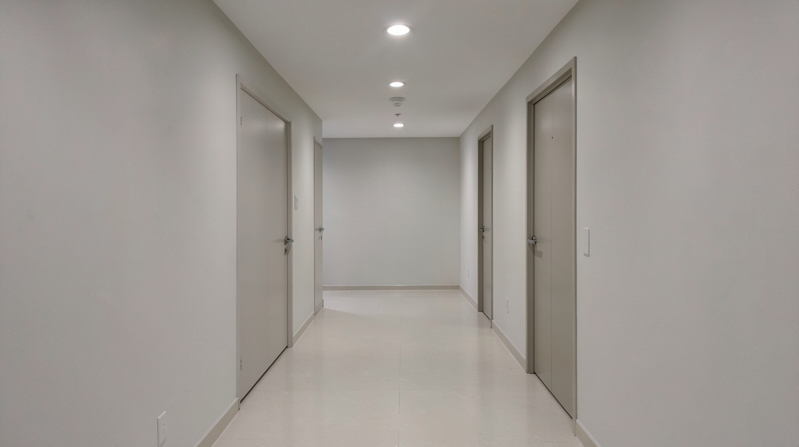Commercial Mold Remediation in Clermont, FL