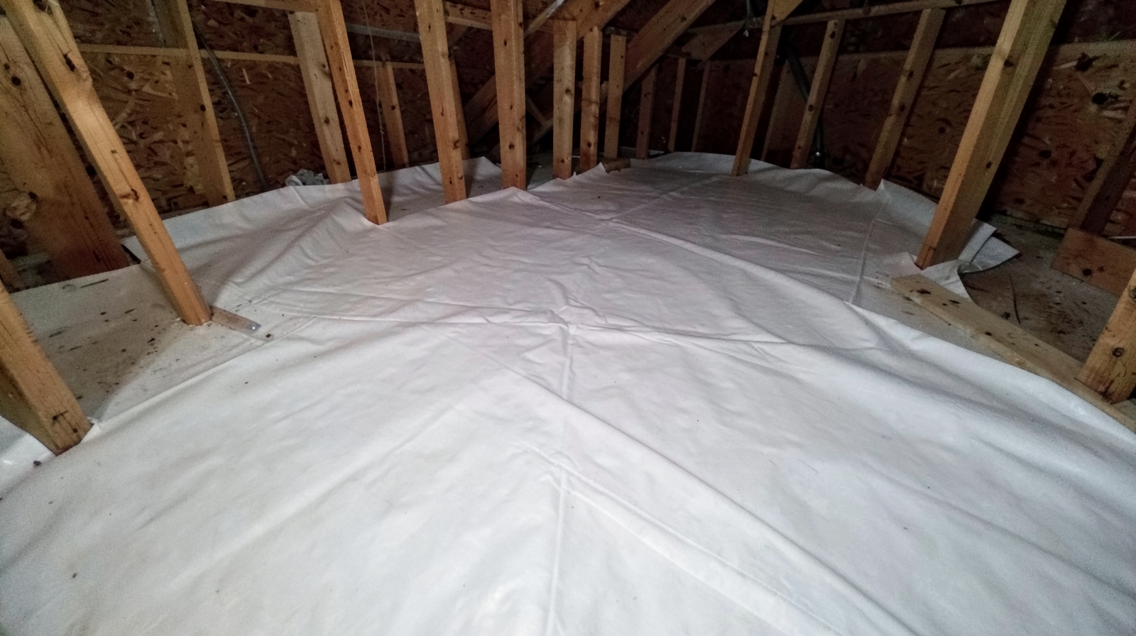 Crawl Space & Basement Mold Remediation in Clermont, FL