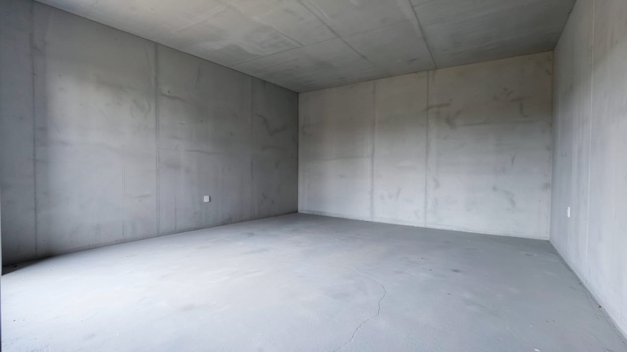 Garage Mold Removal in Clermont, FL in Clermont