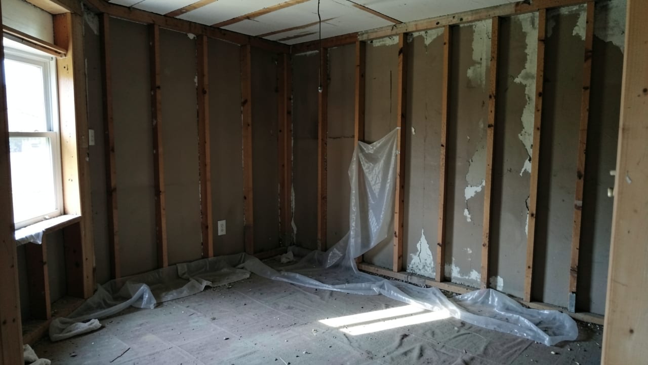 Mold Removal & Remediation in Clermont, FL in Clermont
