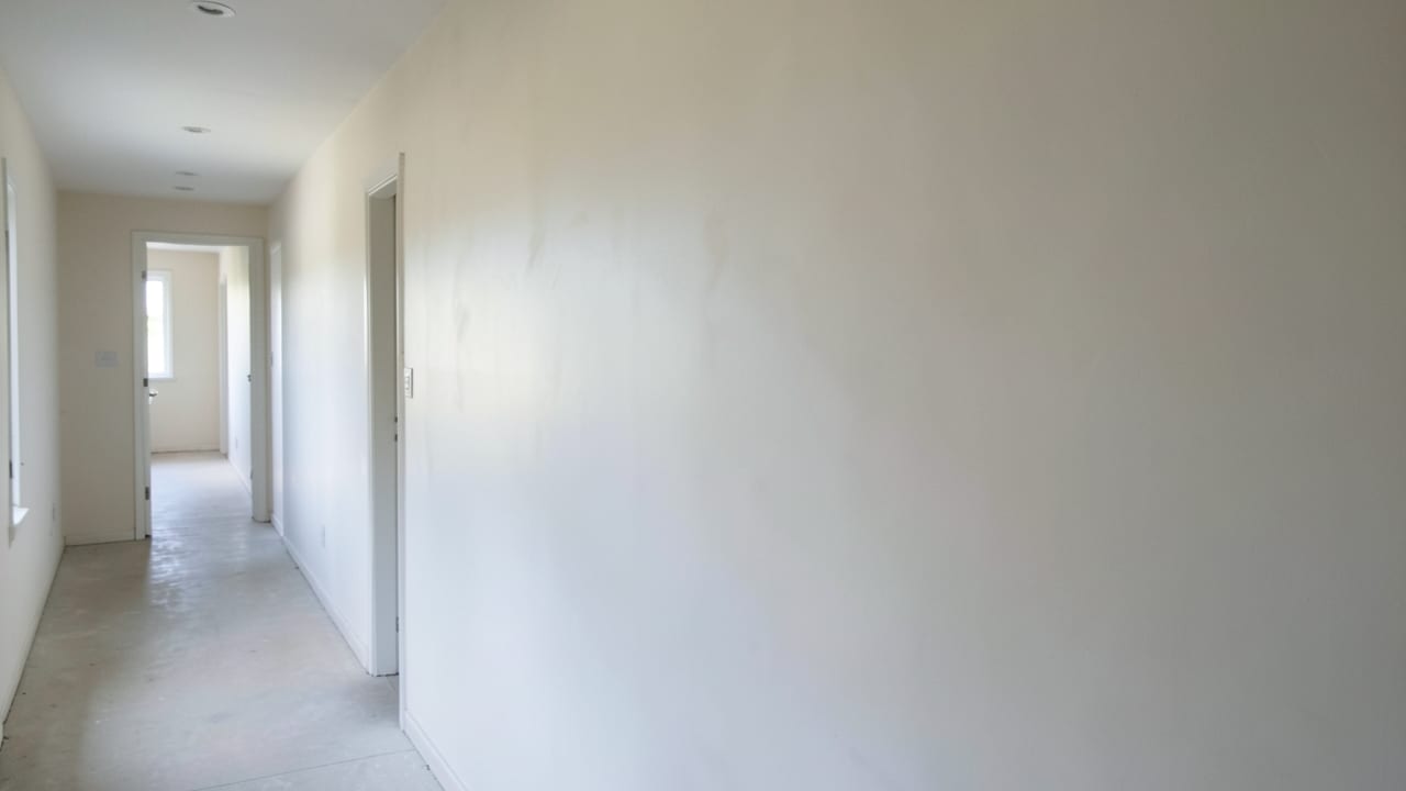 Plaster Mold Remediation in Clermont, FL in Clermont