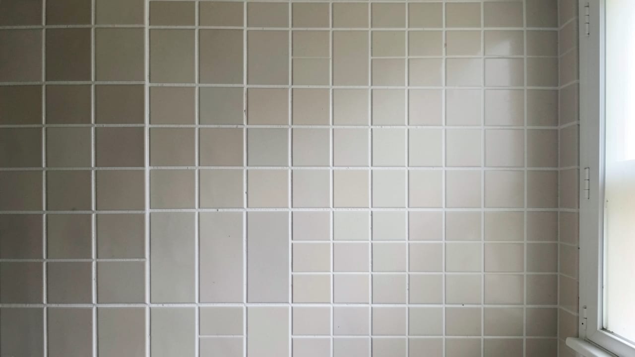 Tile & Grout Mold Cleanup in Clermont, FL in Clermont