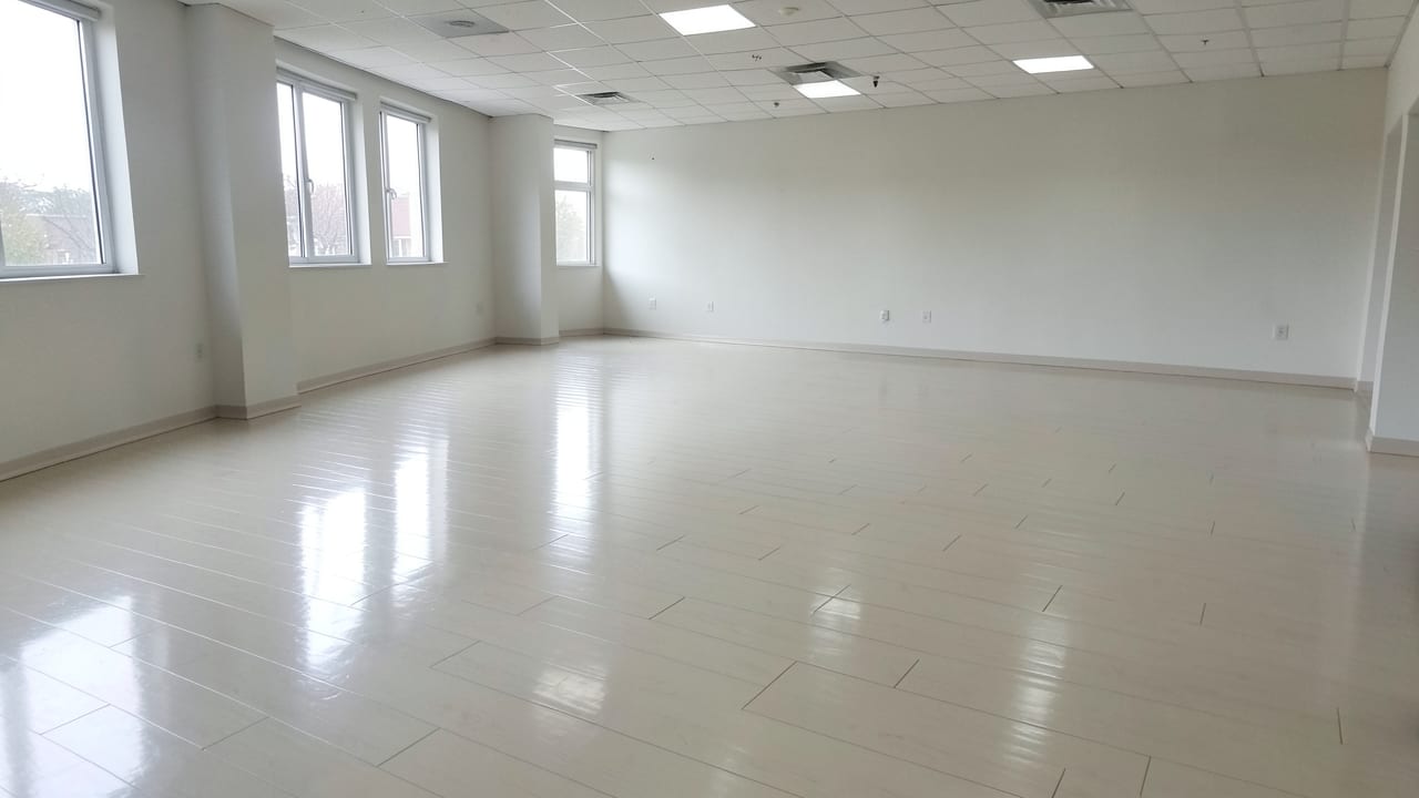 Vinyl Flooring Mold Treatment in Clermont, FL in Clermont