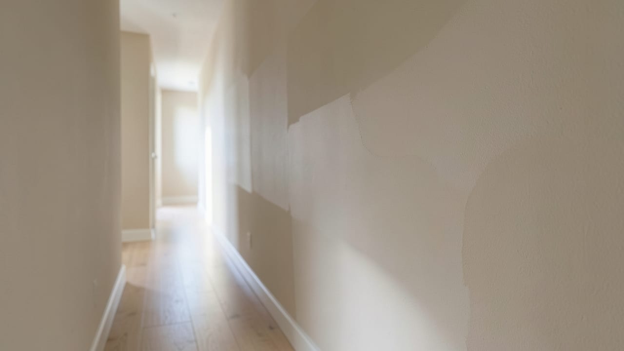 Drywall Mold Remediation in Foley, AL in Foley