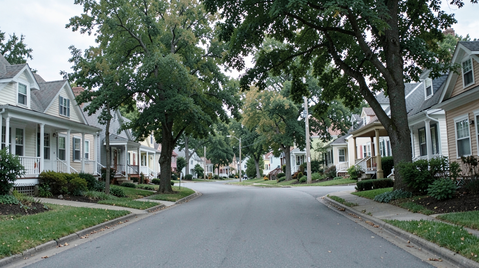 Mold Remediation in Cary, NC