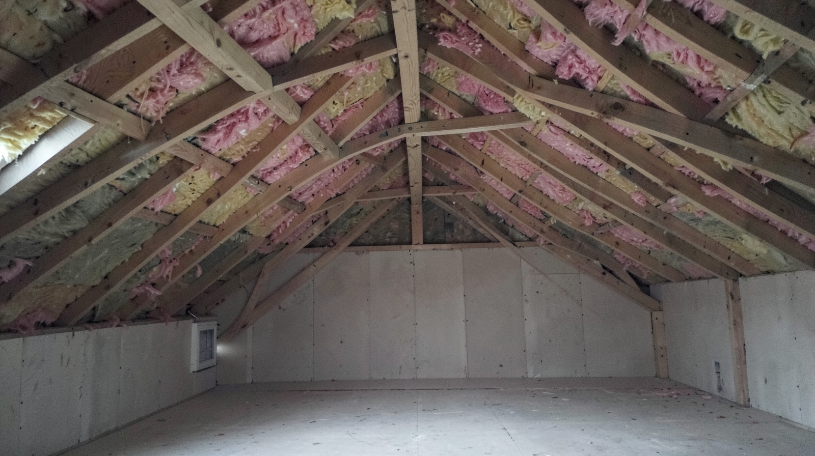 Attic Mold Remediation in Holly Springs, NC