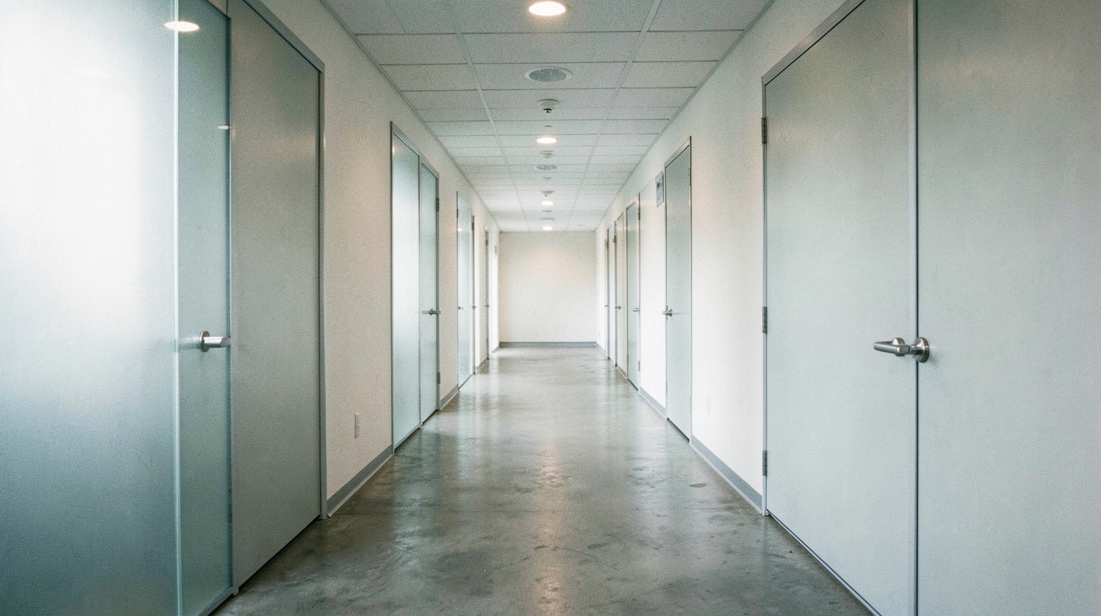 Commercial Mold Remediation in Holly Springs, NC