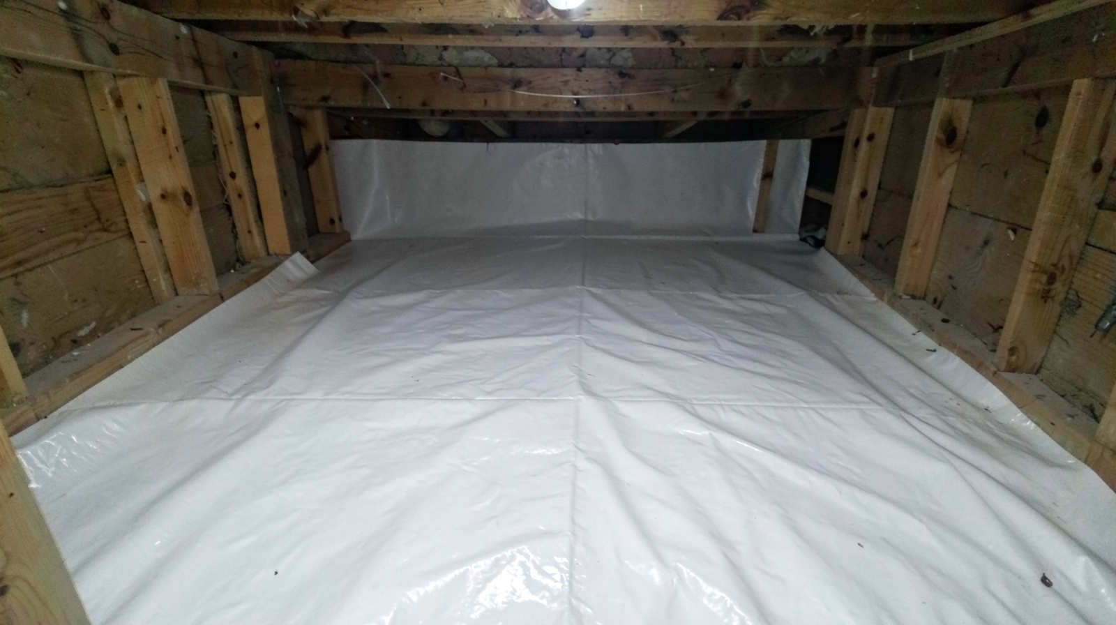 Crawl Space & Basement Mold Remediation in Holly Springs, NC