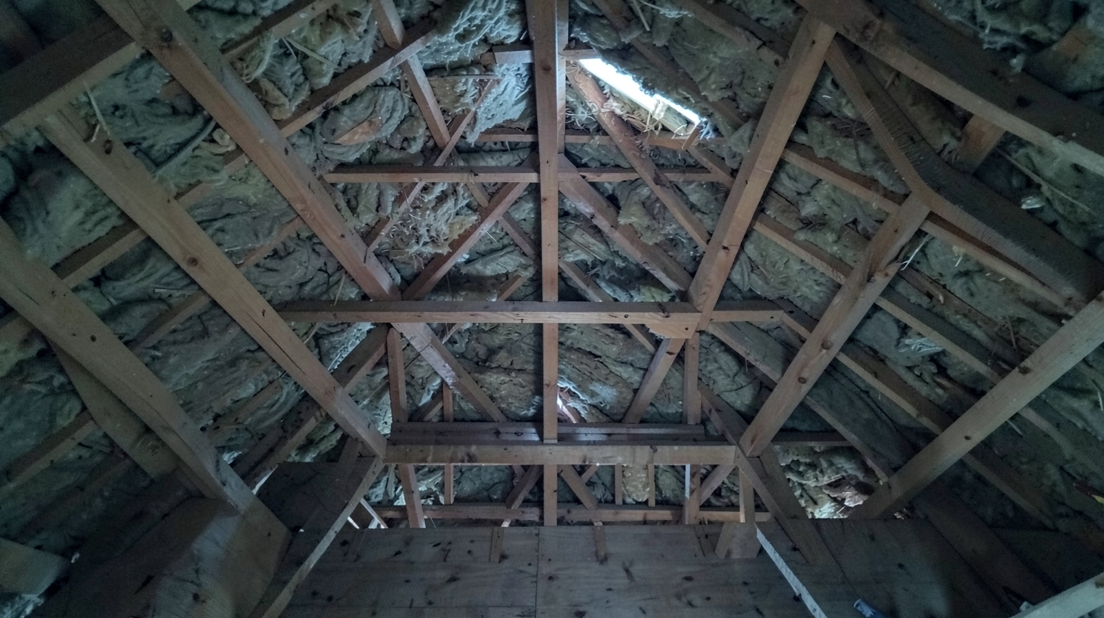 Attic Mold Remediation in Maple Shade, NJ