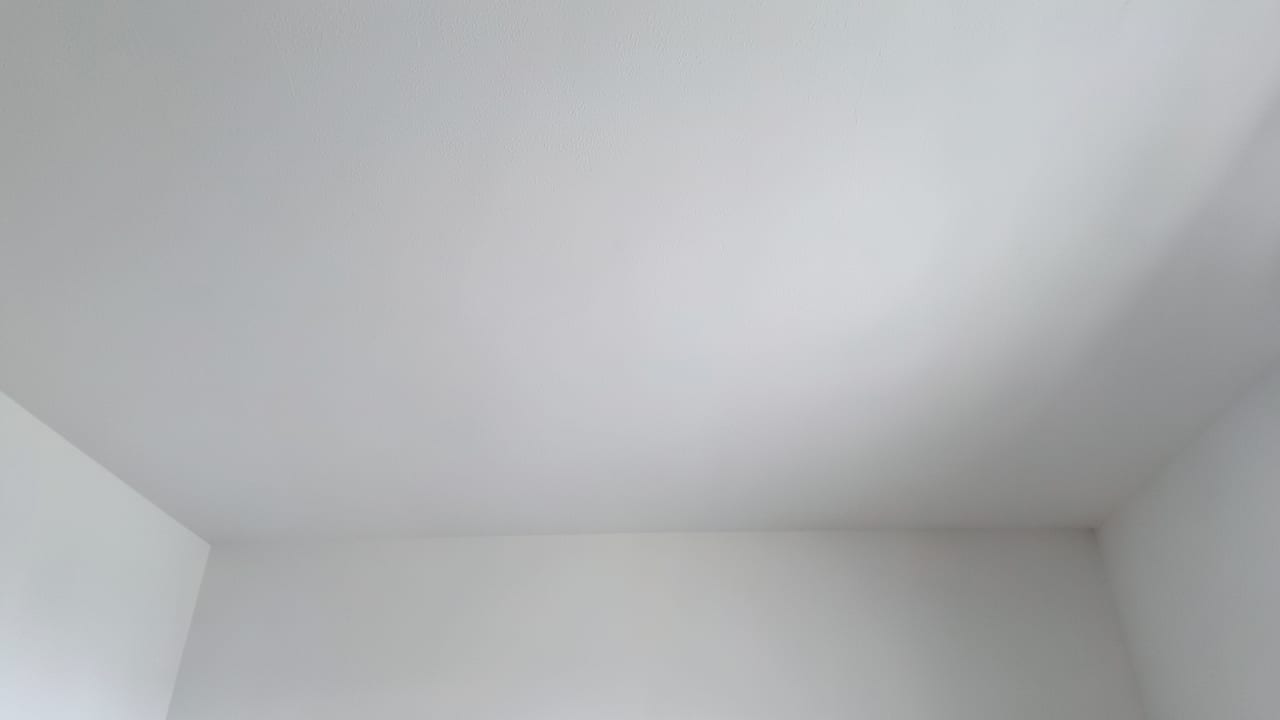 Ceiling Mold Removal in Newport Beach, CA in Newport Beach