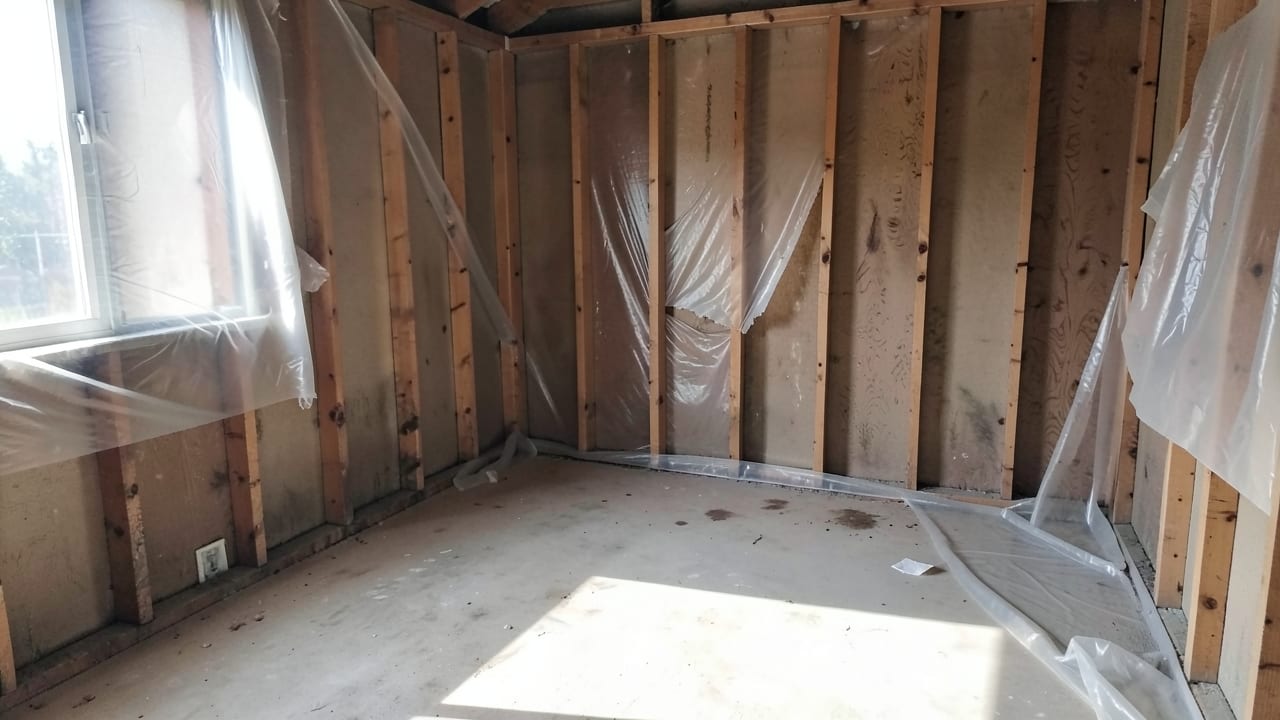 Mold Removal & Remediation in Newport Beach, CA in Newport Beach