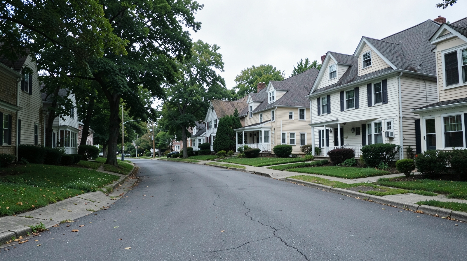 Mold Remediation in Griswold, CT