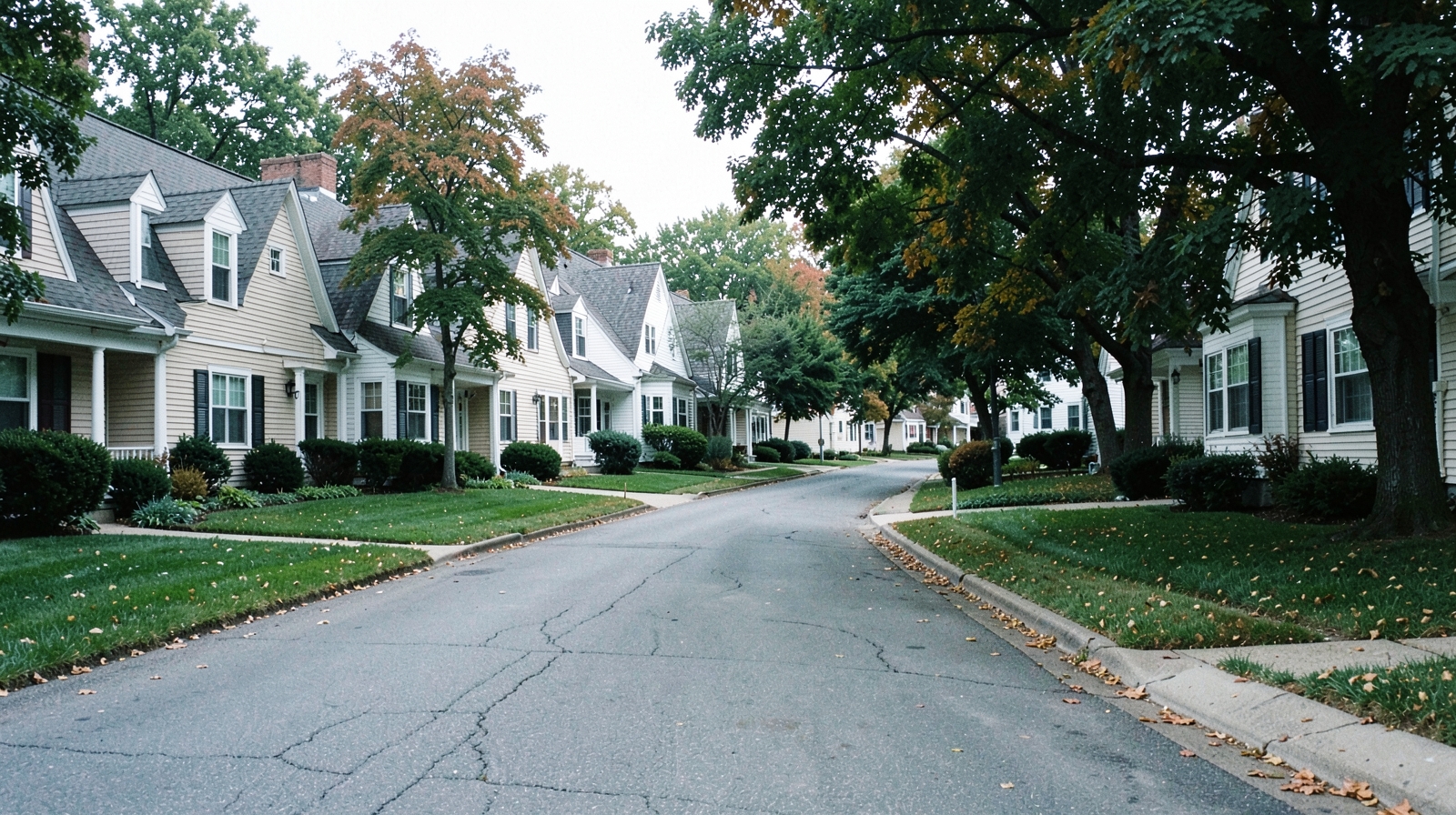 Mold Remediation in Voluntown, CT