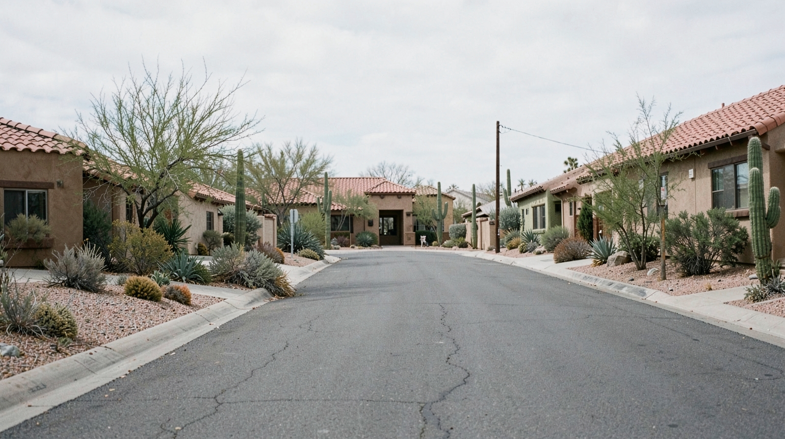 Mold Remediation in Cave Creek, AZ