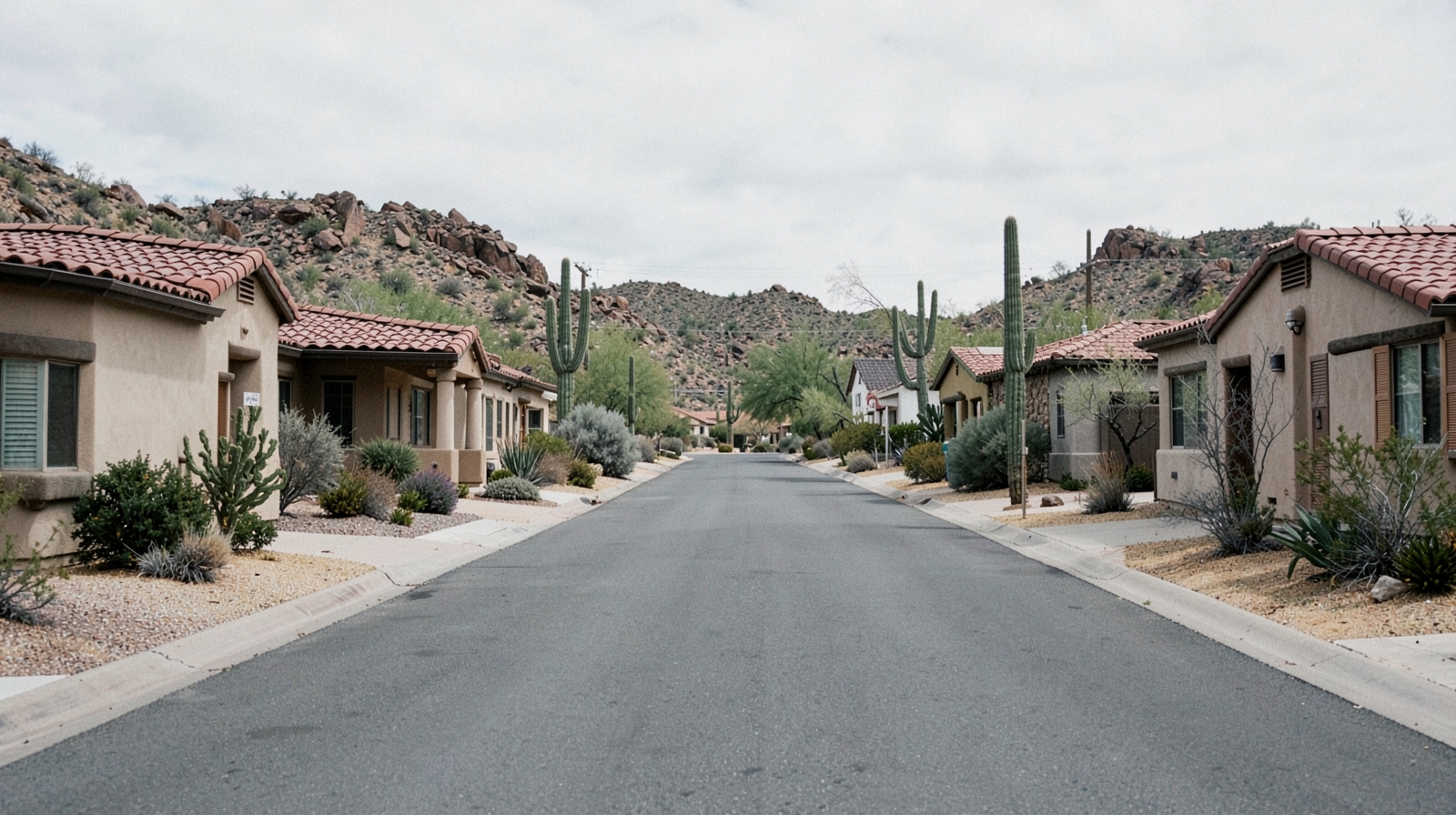 Mold Remediation in Phoenix, AZ