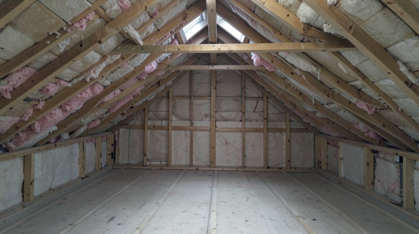 Attic Mold Remediation in Paradise Valley, AZ