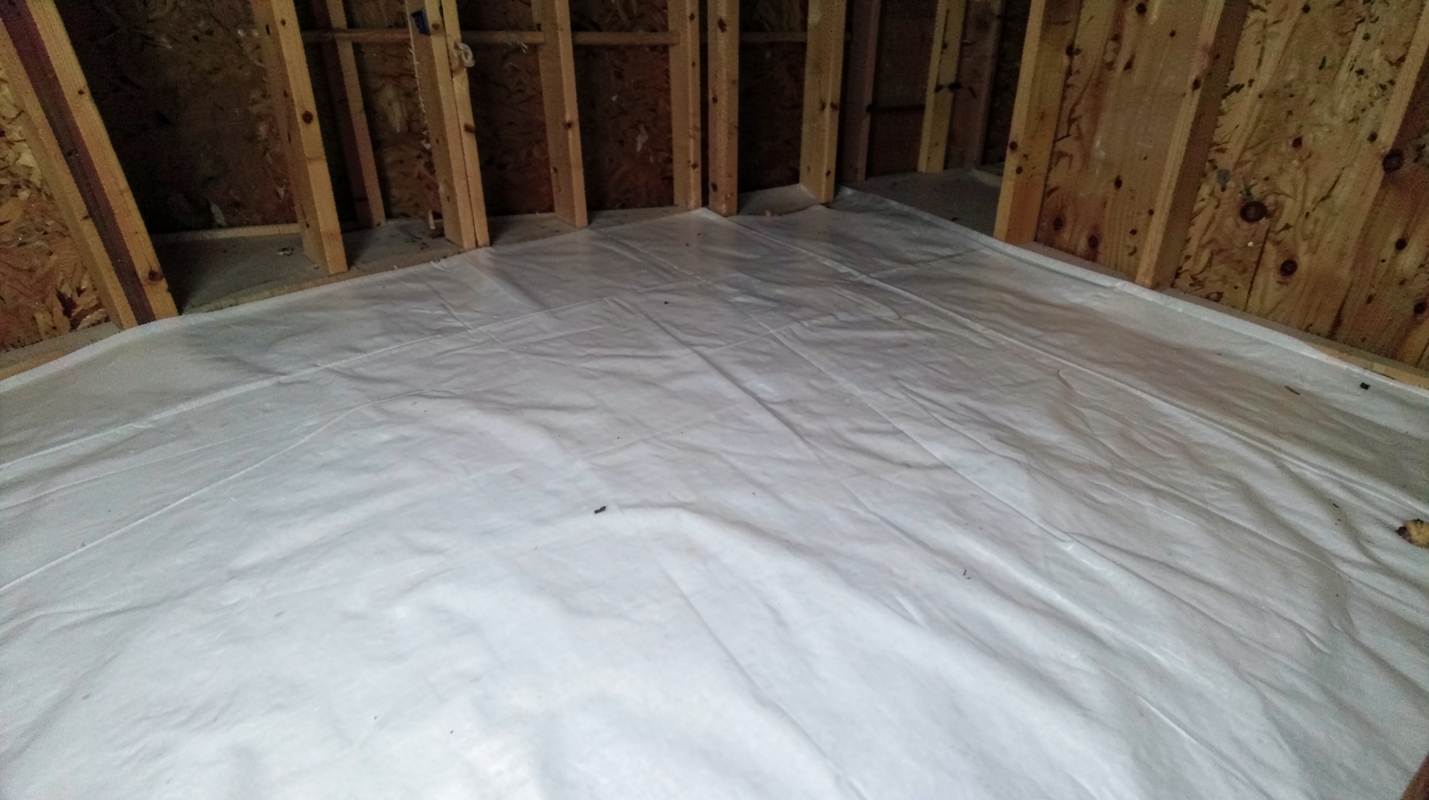 Crawl Space & Basement Mold Remediation in Paradise Valley, AZ