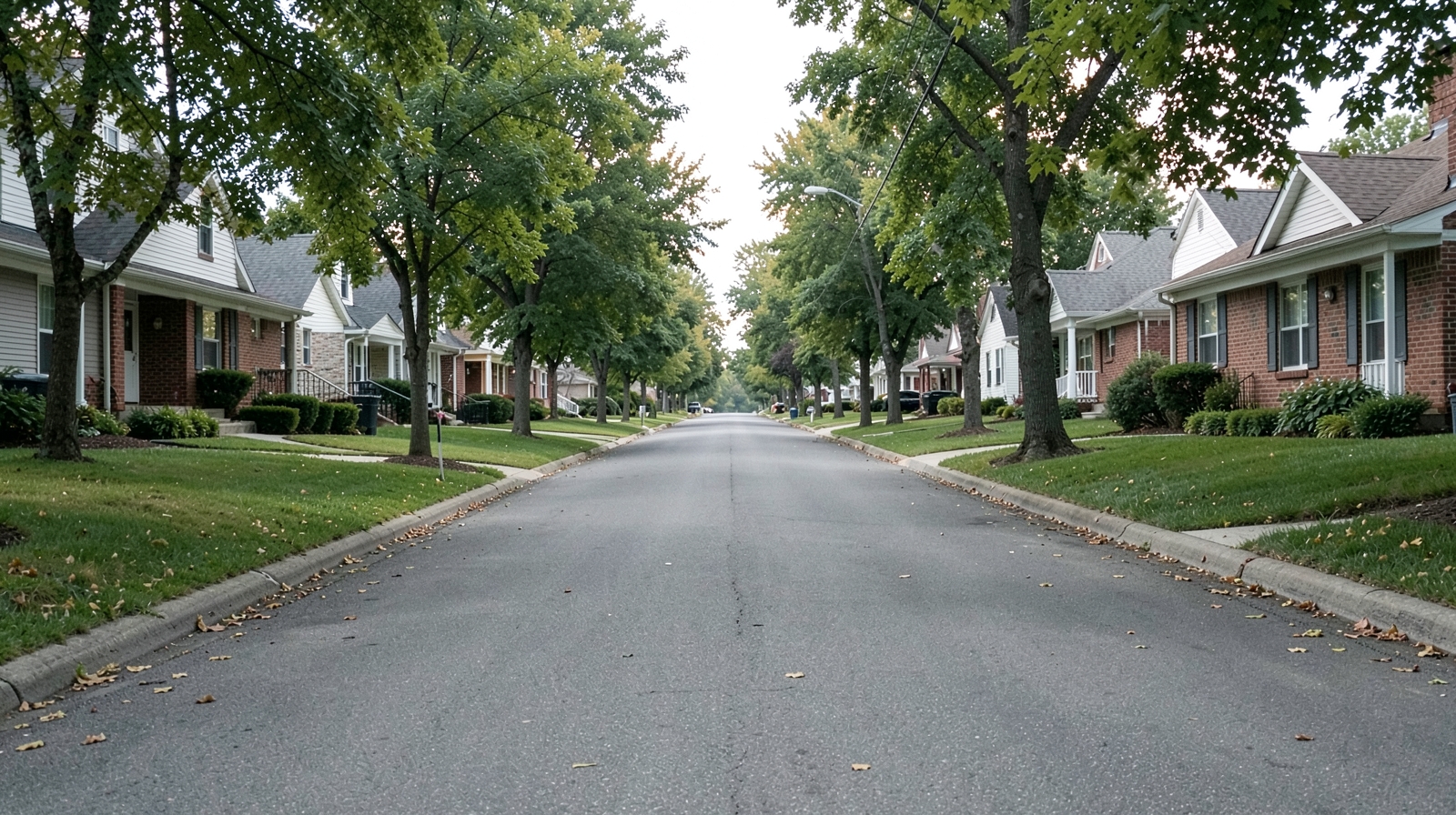 Mold Remediation in Easton, PA