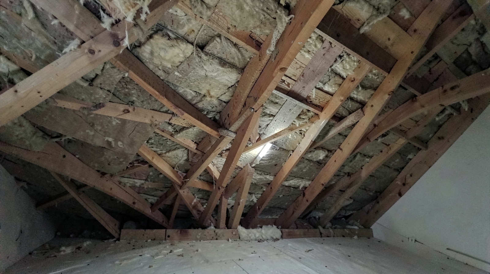 Attic Mold Remediation in Riegelsville, PA in Riegelsville