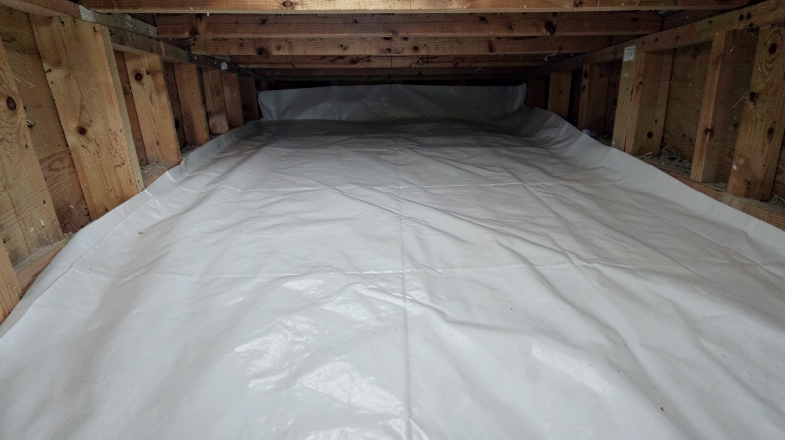 Crawl Space & Basement Mold Remediation in Riegelsville, PA in Riegelsville