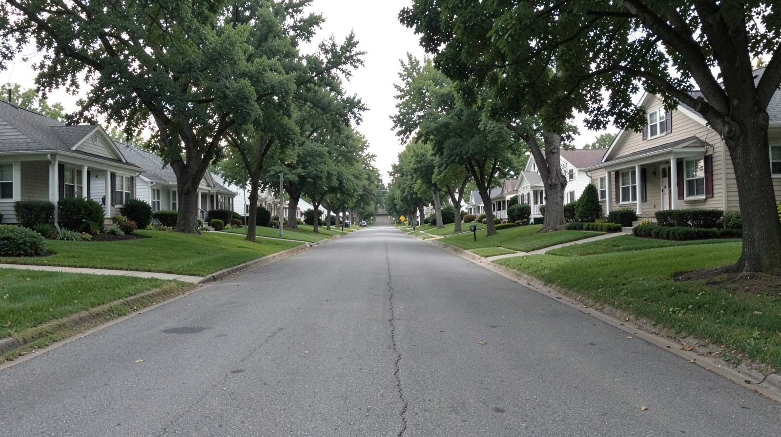 Mold Remediation in Fairgarden, TN