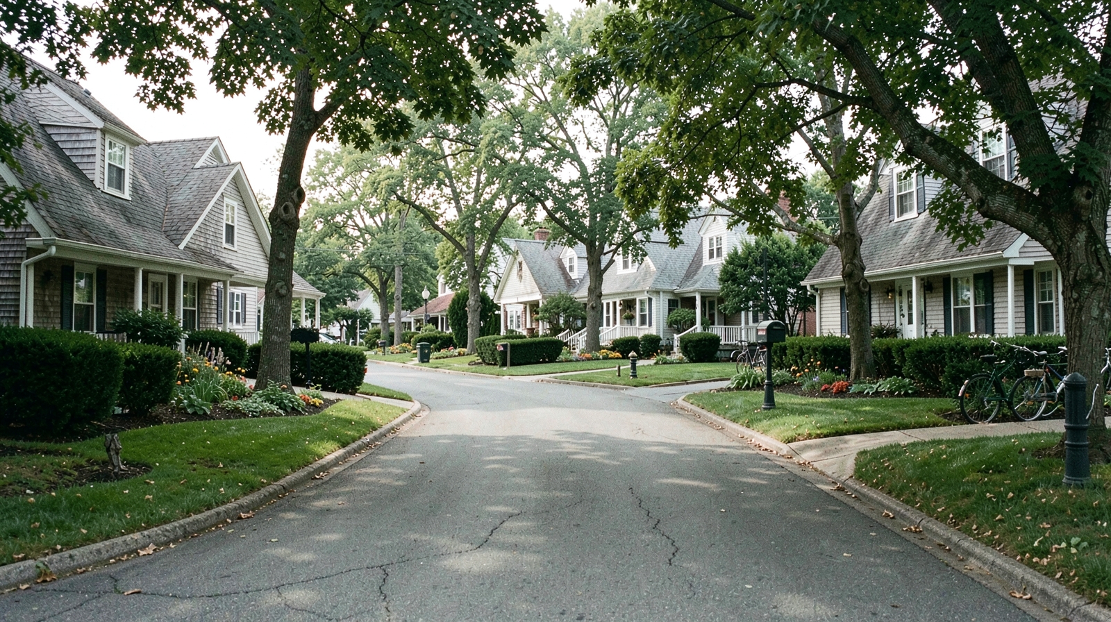Mold Remediation in West Dennis, MA