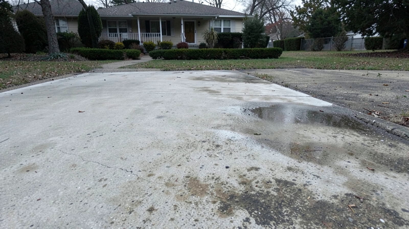 Driveway & Concrete Cleaning in Bellevue, WA in Bellevue