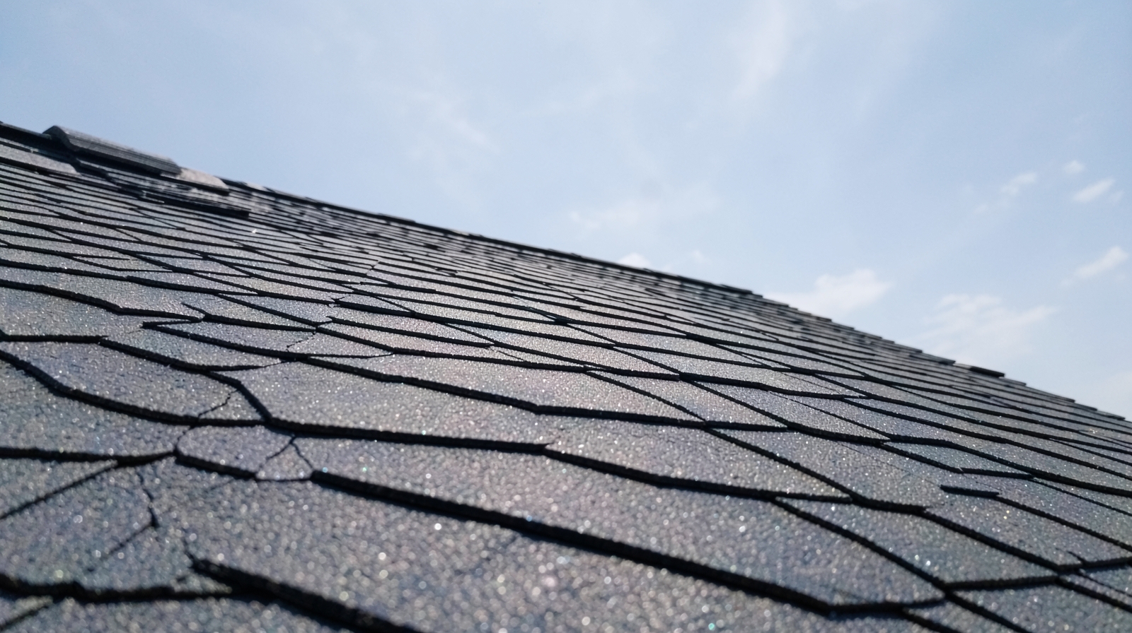 Roof Washing (Soft Wash) in Bellevue, WA in Bellevue